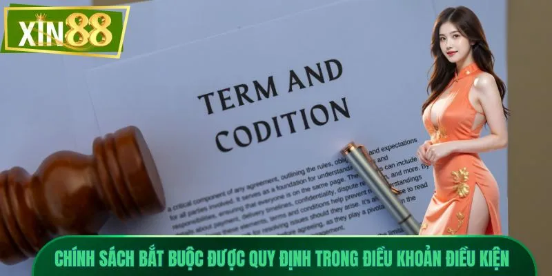 Điều Khoản Điều Kiện 4 Chính sách bắt buộc được quy định trong điều khoản điều kiện