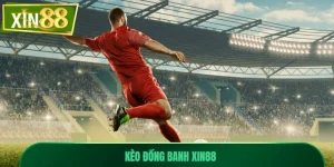 Kèo Đồng Banh Xin88 - Hướng Dẫn Đọc Chuẩn Từng Trận