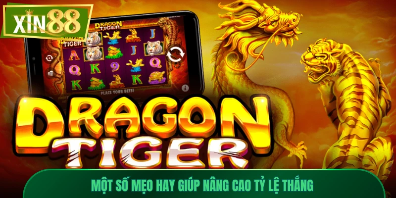 Khám Phá Rồng Hổ Xin88 - Game Bài Đối Kháng Tốc Độ Cao 3 Một số mẹo hay giúp nâng cao tỷ lệ thắng