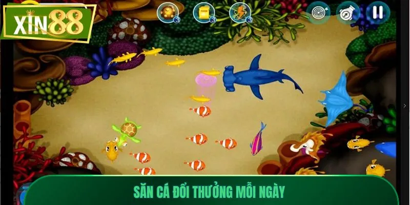 bắn cá xin88 3 Săn cá đổi thưởng mỗi ngày